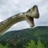 news photo