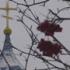 news photo