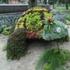 news photo