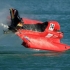 news photo