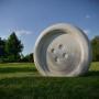 news photo