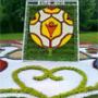 news photo